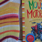 Ralph! -must match sock - Must Stash self striping sock yarn fun colorful knitting large skein twin matching double