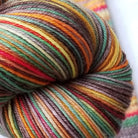 Campfire -must match sock - Must Stash self striping sock yarn fun colorful knitting large skein twin matching double